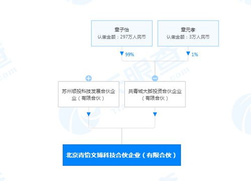 章子怡跨界布局科技領(lǐng)域 投資成立計(jì)算機(jī)系統(tǒng)服務(wù)合伙企業(yè)引關(guān)注